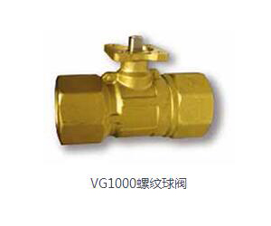 VG1000�ݼy���y